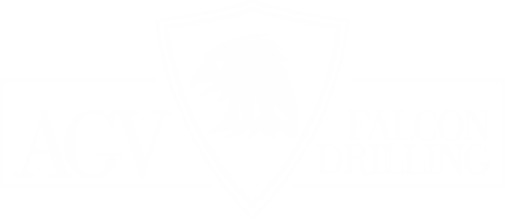 logo_blanco